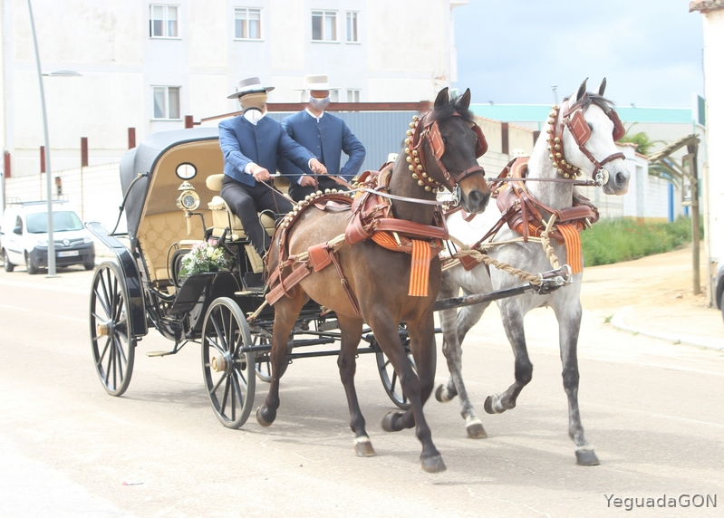 Cruzado {TYPE}