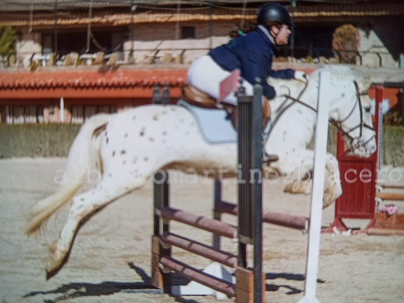 Cruzado {TYPE}