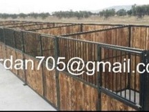 Box cuadra caballo