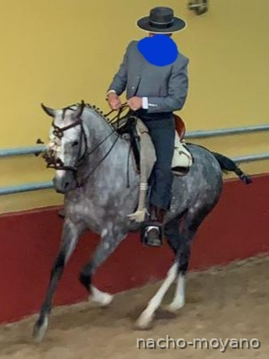 Cruzada buenos origenes