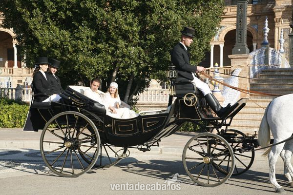 COCHES DE CABALLOS PARA FERIA ABRIL SEVILLA - Carruajes y Enganches in 