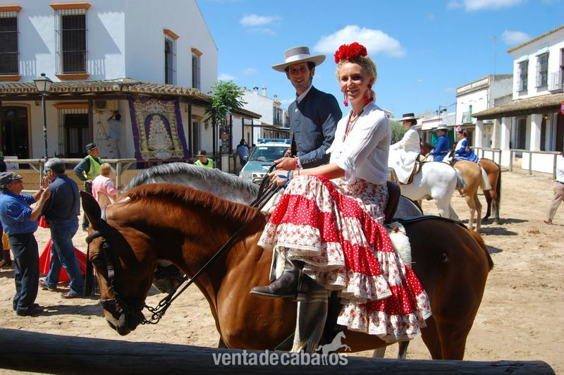 Se vende yegua hispano árabe - Hispano-Arabe