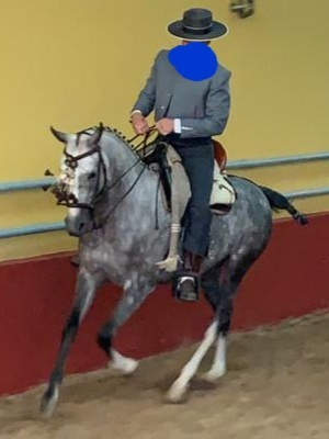 Cruzada buenos origenes