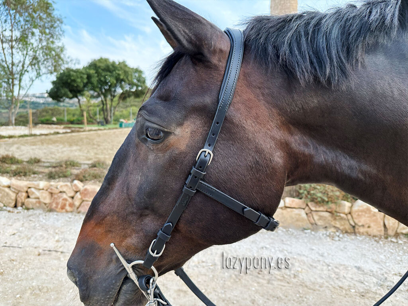 Anatomical french bridle Lazypony with reins, cabezada anatomica, cabezada cuero in 