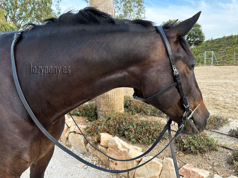 Anatomical french bridle Lazypony with reins, cabezada anatomica, cabezada cuero