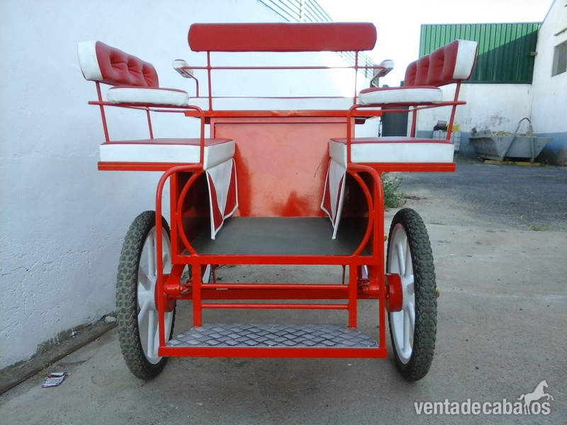  Carruaje para caballo