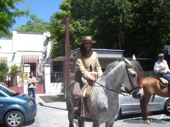 Cruzado