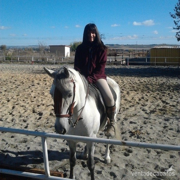 Cruzado {TYPE}