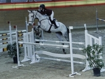 Super Yegua de Salto GIII-II