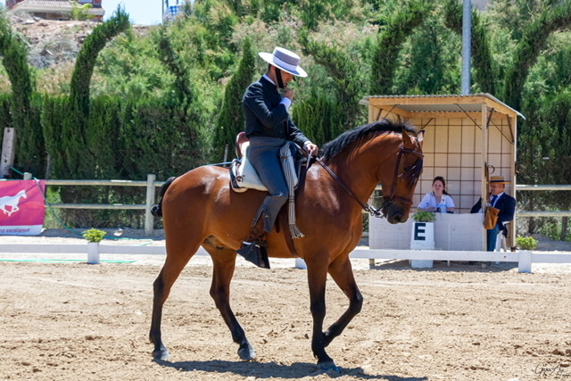 Cruzado {TYPE}