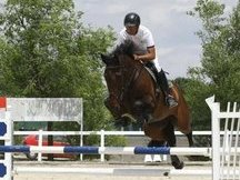 CABALLO DE SALTO SUPER OPORTUNIDAD !