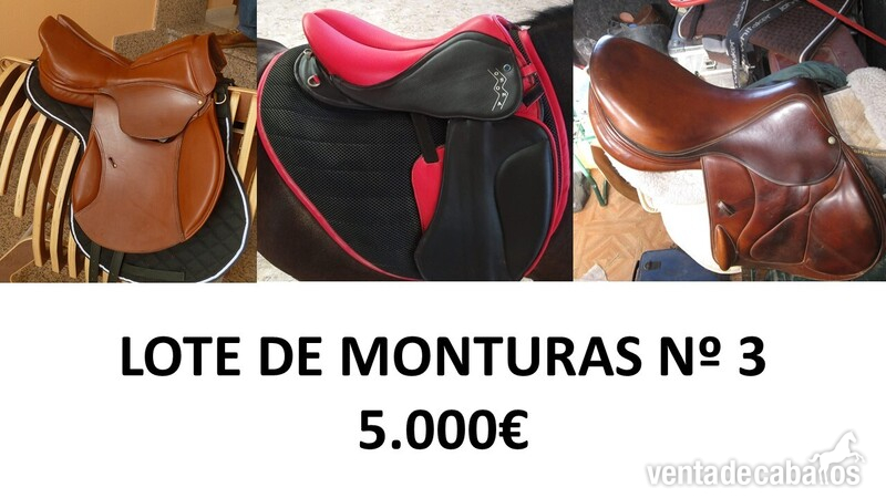 LOTE DE MONTURAS in 