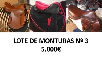 LOTE DE MONTURAS