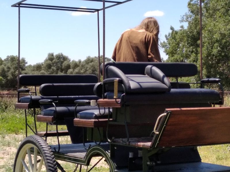 Carro de caballos Jardinera 12 plazas