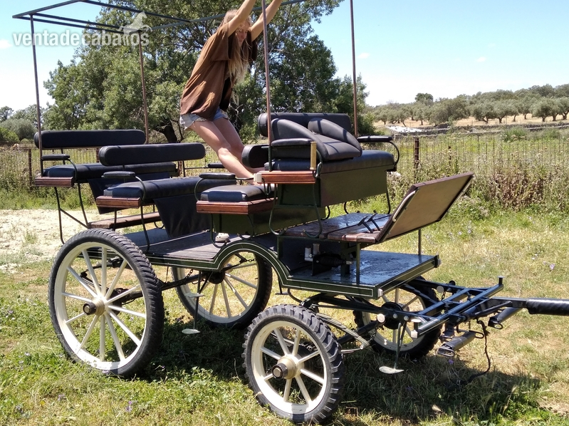  Carro de caballos Jardinera 12 plazas
