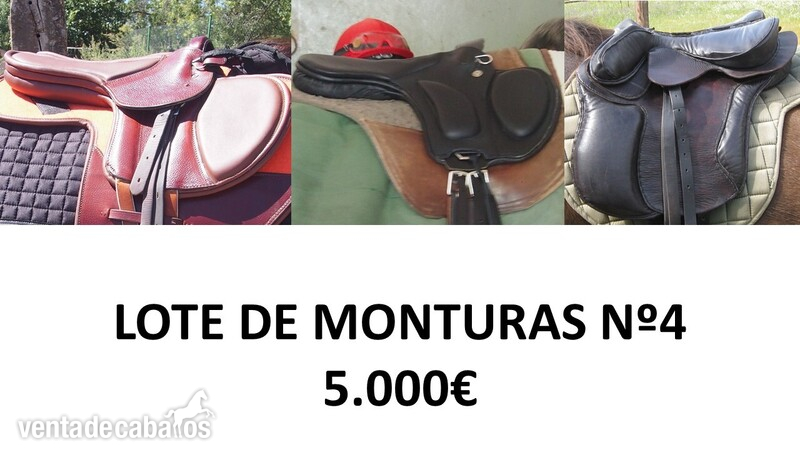 LOTE DE MONTURAS in 