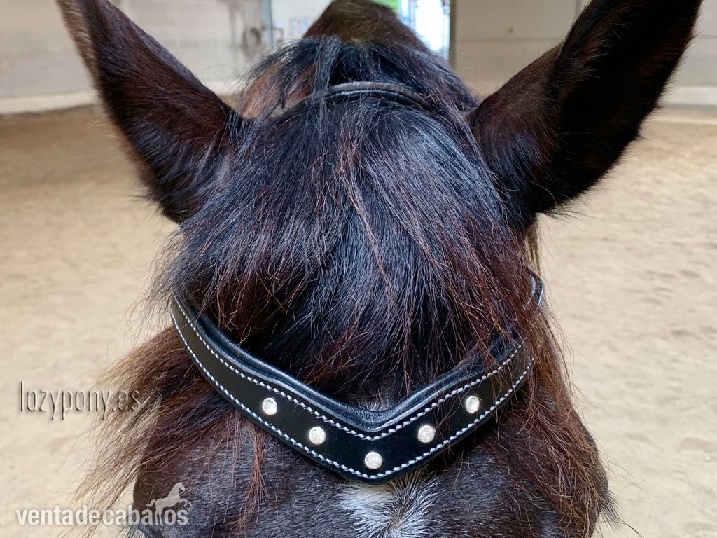 Frontalera Diadem Lazypony en forma de V, Cristal V-shaped browband