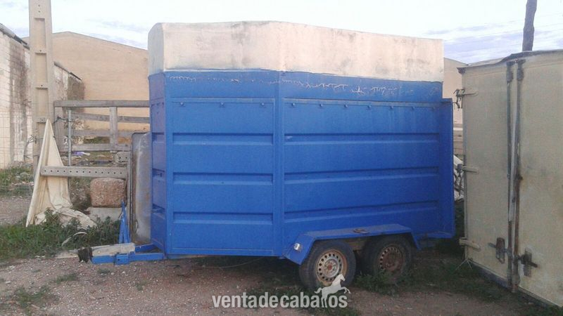 van de 2 caballos in 
