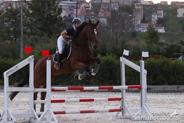 Zandersheizede Desporto Oportunidad in 
