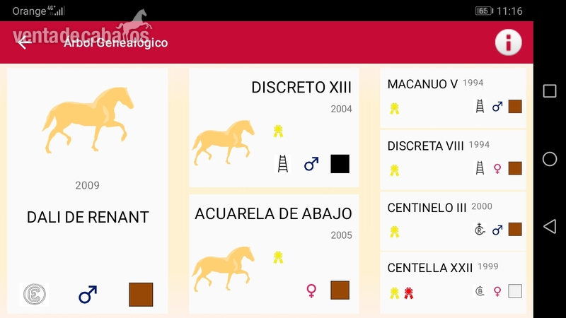 Caballos Pura Raza Española (P.R.E.) P. R. E.  - Venta caballo español 