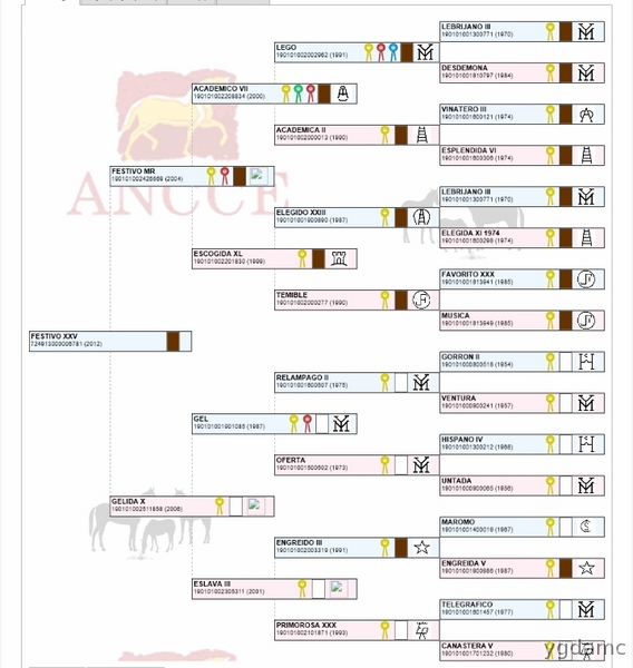 PRE LINEAS - LEBRIJANO III X GORRON II in 