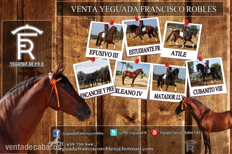 Venta de ejemplares PRE in 