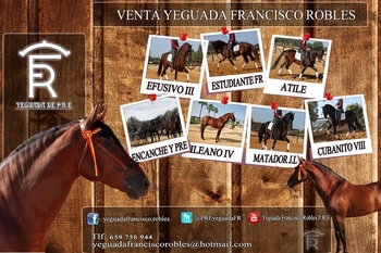 Venta de ejemplares PRE