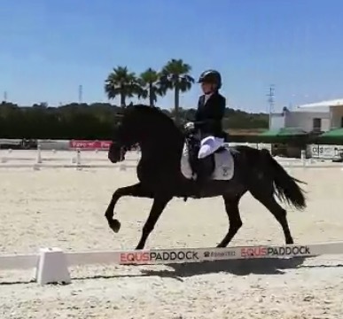 Pura Raza Española {TYPE}