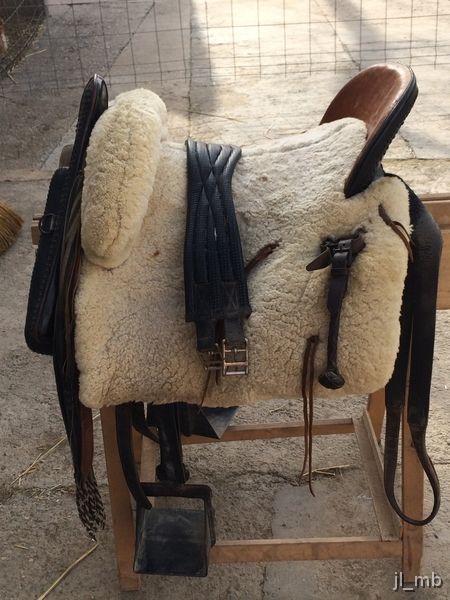 Sillas de montar - Monturas varias y accesorios varios in 