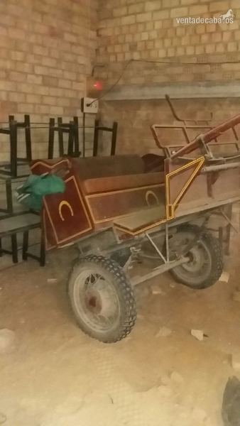 CHARRET CORTEGANA in 