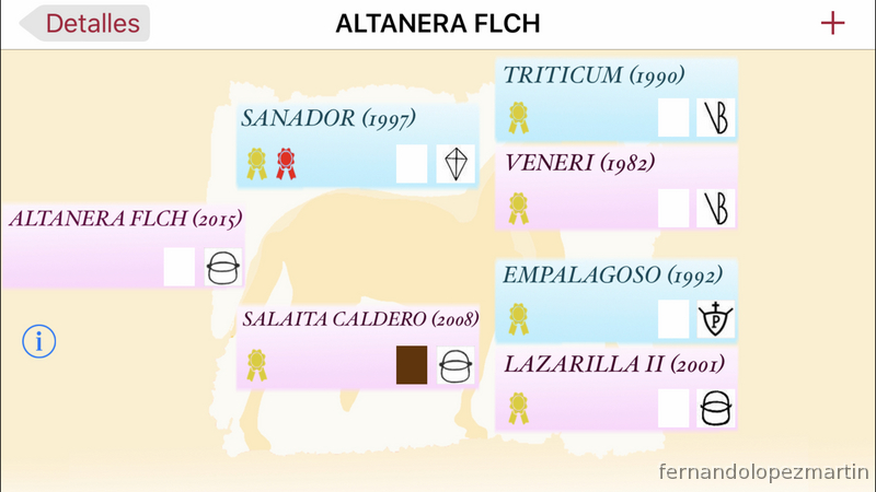Potra de 2 años con excelentes orígenes de doma por Caldero-Ventura Camacho-Pallares.  in 