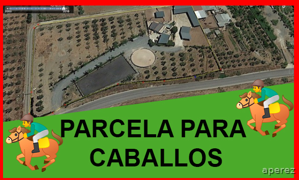 Finca para caballos a 10 mint de Málaga  in Málaga