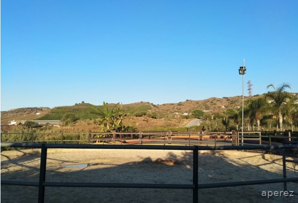 Finca para caballos a 10 mint de Málaga  - Hípicas y establos en venta in Málaga