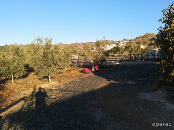 Hípicas y establos en venta - Finca para caballos a 10 mint de Málaga  in Málaga