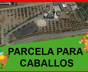 Finca para caballos a 10 mint de Málaga 