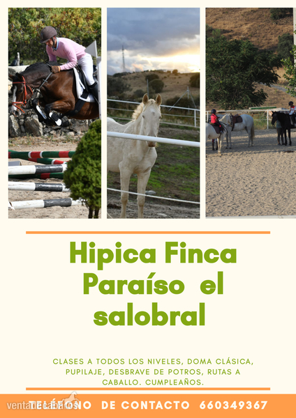 Hipica en Colmenar Viejo