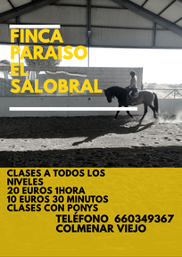 Hipica en Colmenar Viejo