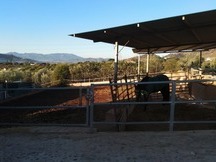 Finca para caballos a 10 mint de Málaga 
