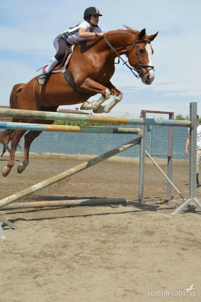 Yegua de Salto in 