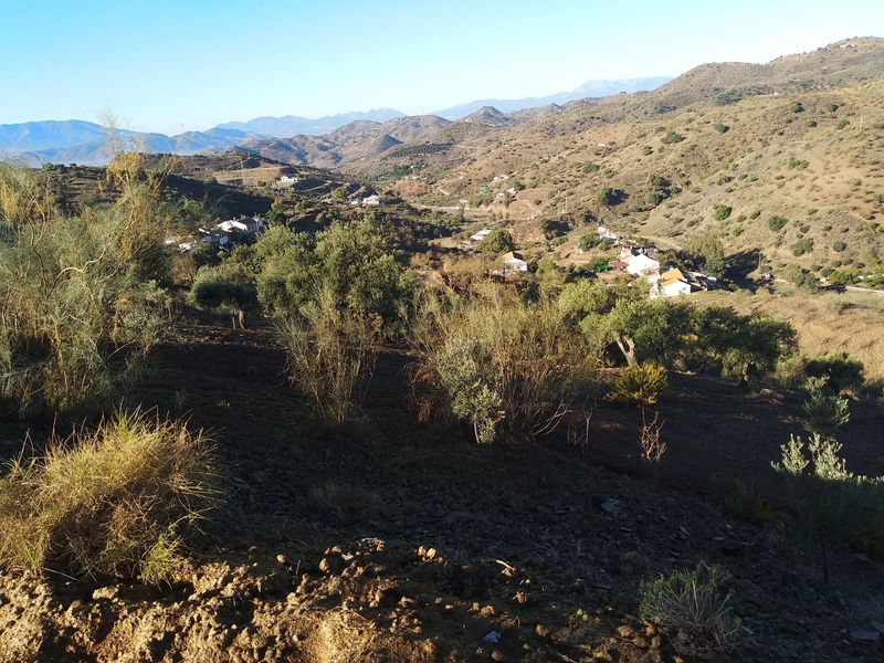 Finca con solares y permisos  - Finca ecuestre in Málaga