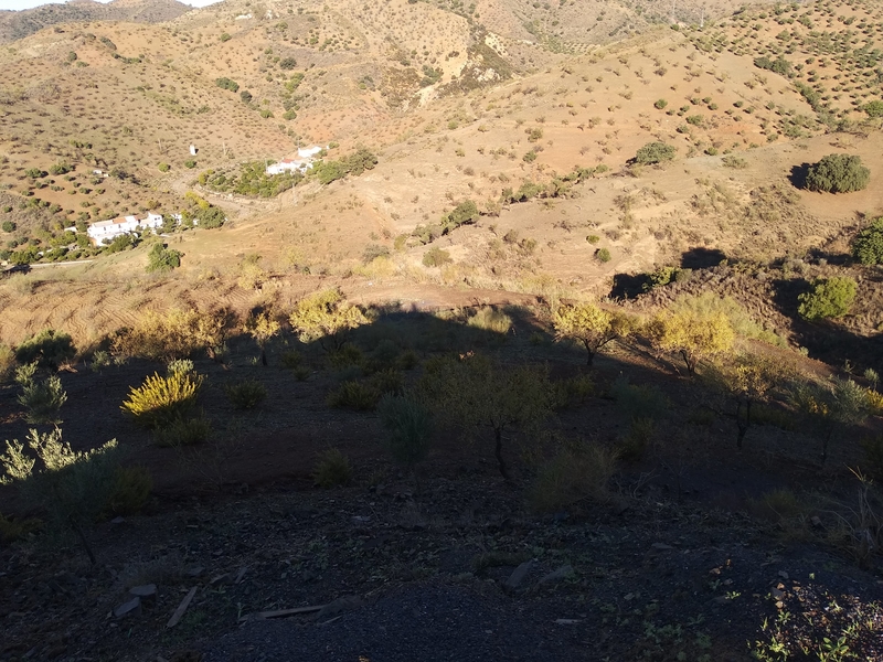 Finca con solares y permisos  - Finca ecuestre