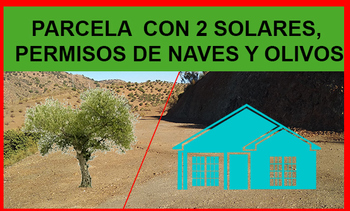 Finca con solares y permisos 