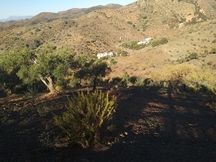 Finca con solares y permisos 