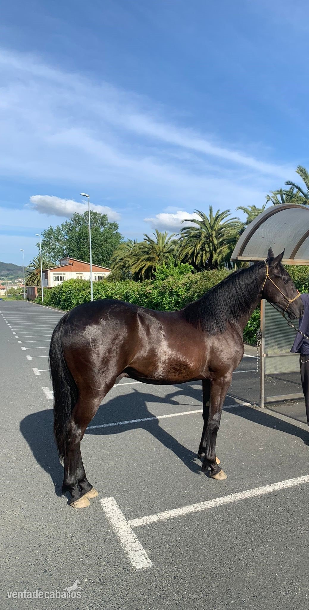 EMPTY {TYPE}
