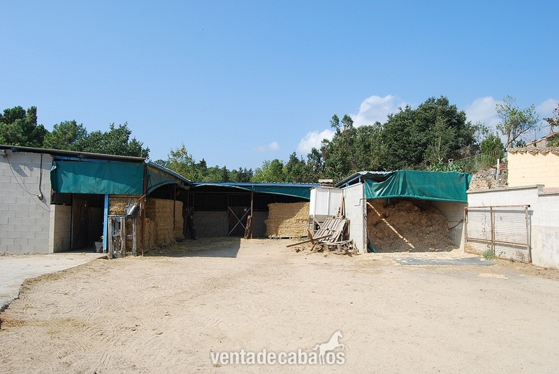 palafolls Finca de 3 hectareas para caballos