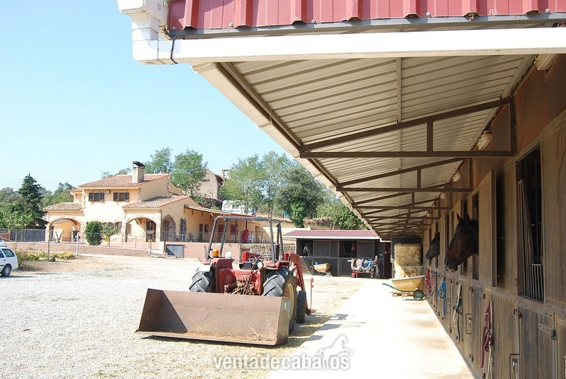 Finca de 3 hectareas para caballos - Finca ecuestre in palafolls