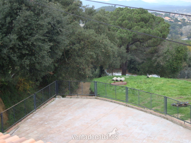 Finca de 3 hectareas para caballos - Finca ecuestre