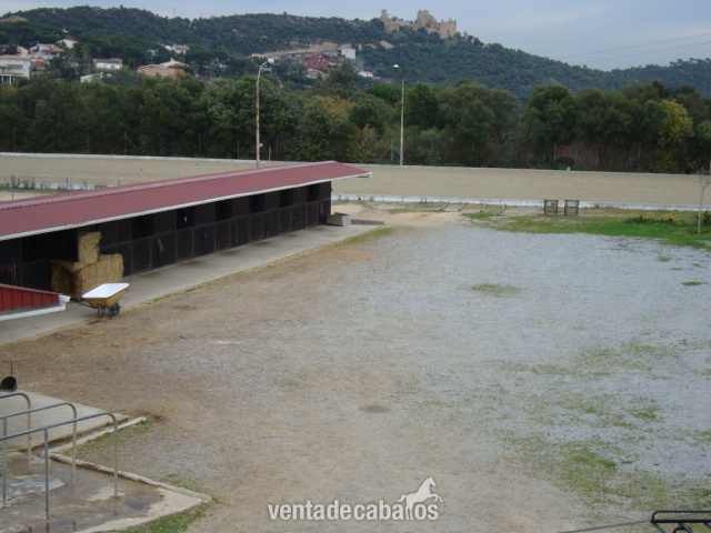 Finca de 3 hectareas para caballos palafolls