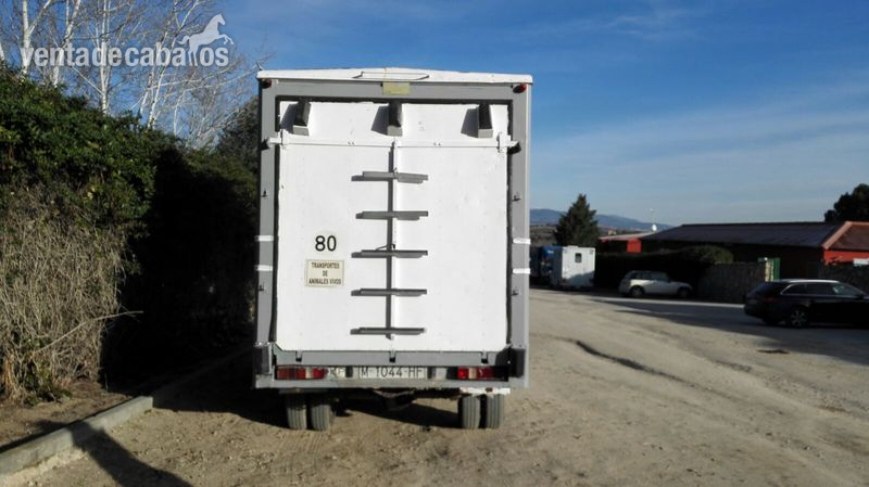 Camion 3500kg para 2 Caballos  in 