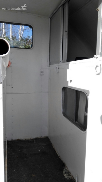 Camion 3500kg para 2 Caballos  - Transportes de caballos in 